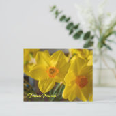 Gele daffodils, Felices Pascuas. briefkaart (Staand voorkant)