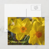 Gele daffodils, Felices Pascuas. briefkaart (Voorkant / Achterkant)
