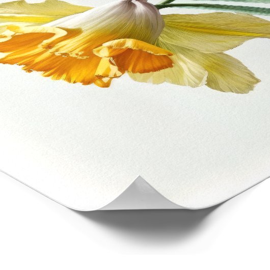 Gele Daffodils Flower Art Print Poster (Hoek)