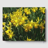 Gele Daffodils I Gastenboek (Achterkant)