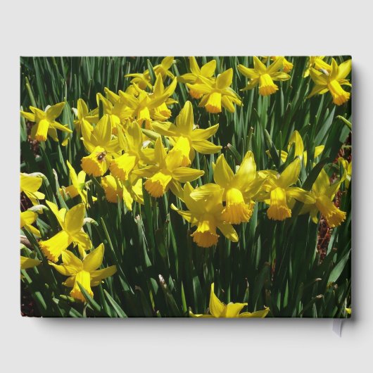 Gele Daffodils I Gastenboek (Achterkant)