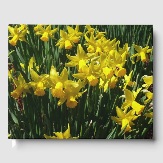 Gele Daffodils I Gastenboek (Voorkant)