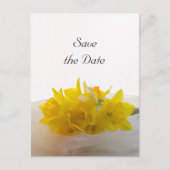 Gele Daffodils op het witte huwelijk sparen de Dat Aankondigingskaart (Voorkant)