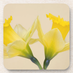 Gele daffodis bier onderzetter