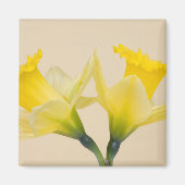 Gele daffodis magneet (Voorkant)