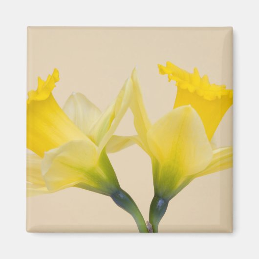 Gele daffodis magneet (Voorkant)