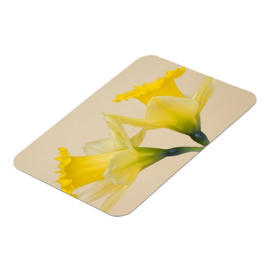 Gele daffodis magneet (Linkerzijde)