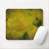Gele daffodis mousepad muismat (Met muis)