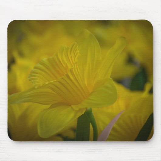 Gele daffodis mousepad muismat (Voorkant)