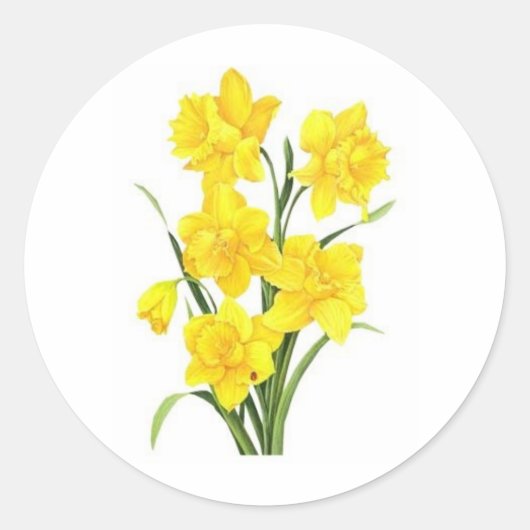Gele daffodis ronde sticker (Voorkant)