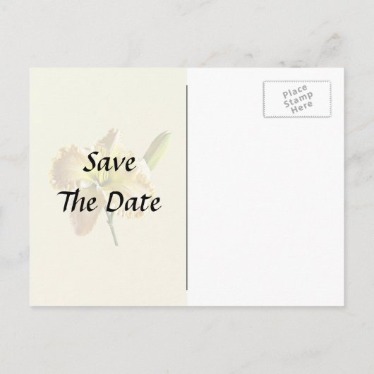 Gele Dag Lily Trouwbenodigdheden Aankondigingskaart (Achterkant)