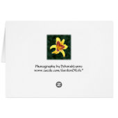 Gele dagbloem met rood, Hemerocallis: (Achterkant Horizontaal)