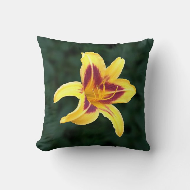 Gele dagbloem met rood, Hemerocallis: Kussen (Voorkant)