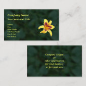 Gele dagbloem met rood, Hemerocallis: Visitekaartje (Voorkant / Achterkant)