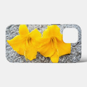 gele dagbloemen in volle bloei Case-Mate iPhone case (Achterkant (horizontaal))