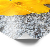 gele dagbloemen in volle bloei foto afdruk (Hoek)