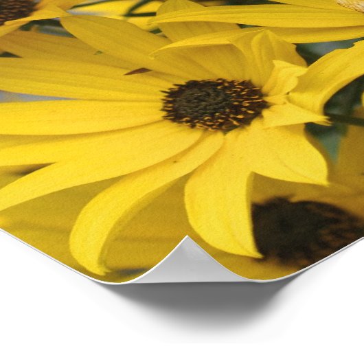 Gele dagen en broedbijen poster (Hoek)