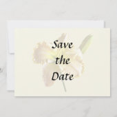 Gele Daglel Bruiloft Benodigdheden Save The Date (Achterkant)
