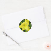 Gele Daglelies Sticker (Envelop)