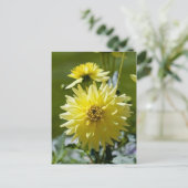 Gele Dahlia Ansichtkaart Briefkaart (Staand voorkant)