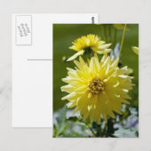 Gele Dahlia Ansichtkaart Briefkaart (Voorkant / Achterkant)