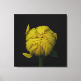 Gele Dahlia Bud Canvas Print