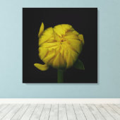Gele Dahlia Bud Canvas Print (Insitu (Houten vloer))