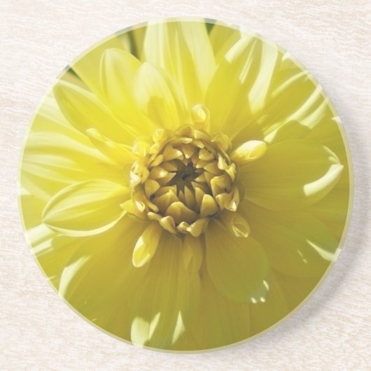 Gele Dahlia Coaster Zandsteen Onderzetter (Voorkant)