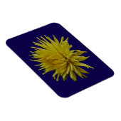 Gele Dahlia Magneet (Rechterzijde)