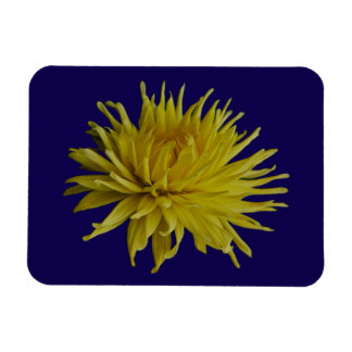 Gele Dahlia Magneet