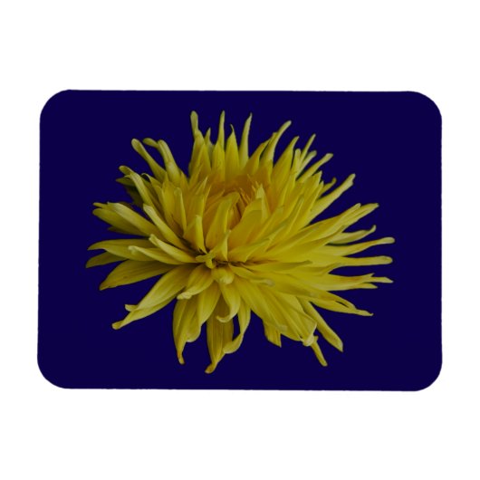 Gele Dahlia Magneet (Horizontaal)