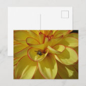 Gele Dahlia met Roze Border DIY Briefkaart (Voorkant / Achterkant)