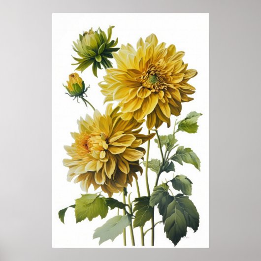 Gele Dahlias Bloem Kunstprint Poster (Voorkant)