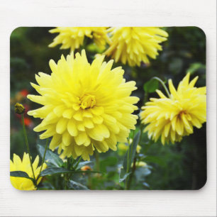 Gele dahlias floral muismat