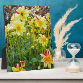 Gele dahlias fotoplaat (Zijkant)