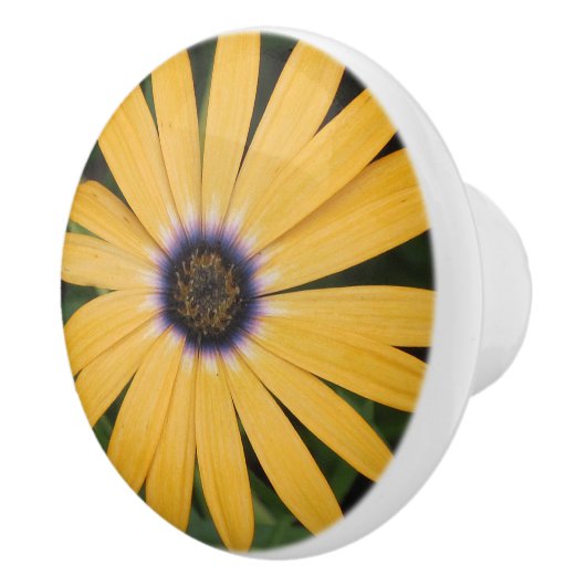 Gele Daisy Ceramic Knob. Keramische Knop (Rechts)