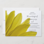 Gele Daisy Flower Petals Weddenschap Kaart (Voorkant)