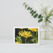 Gele Daisy (Grenzen) Visitekaartje (Staand voorkant)