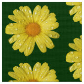 Gele Daisy in de Regen Stof (Close Up)