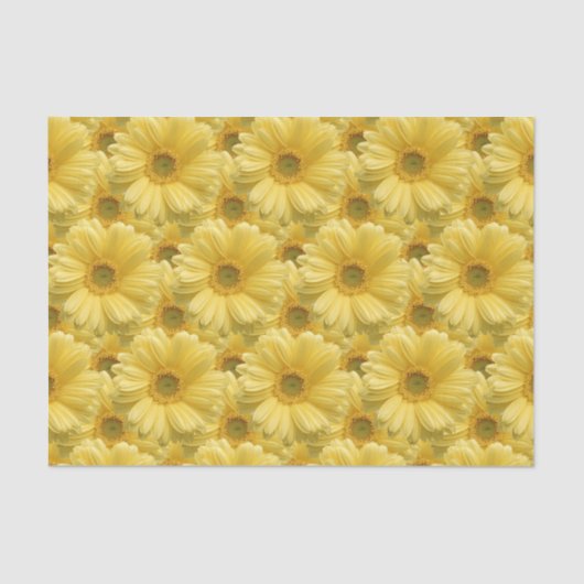 Gele Daisy Madeliefjes Bloem Geschenk Tissuepapier (Voorkant)