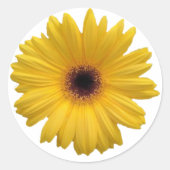 Gele Daisy Round Stickers (Voorkant)