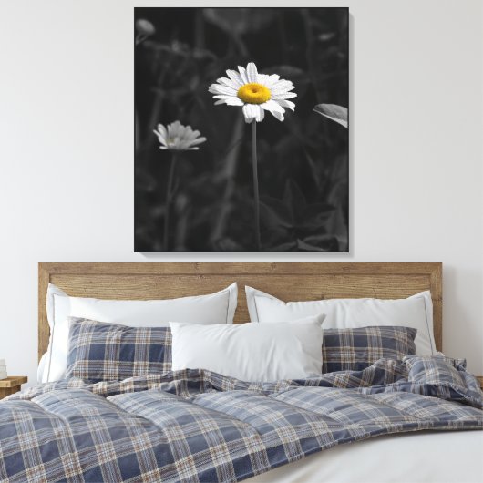 Gele Daisy Zwart-wit Bloem Foto Canvas Afdruk (Insitu (Slaapkamer))