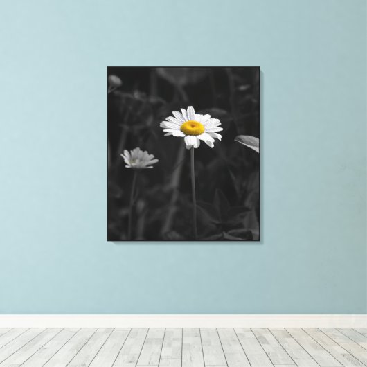 Gele Daisy Zwart-wit Bloem Foto Canvas Afdruk (Insitu (Houten vloer))