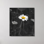 Gele Daisy Zwart-wit Bloem Foto Canvas Afdruk (Voorkant)