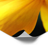 Gele damesbloem en midden dicht poster (Hoek)