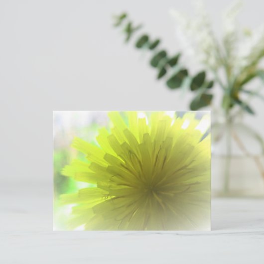 Gele Dandelion Aster in Sunshine Cheerful Briefkaart (Staand voorkant)