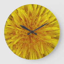 Gele Dandelion Flower No Digits