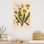 Gele Dandelion Gone 1800 naar zaadflora Poster (Keuken)