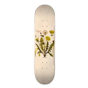  Gele Dandelion Gone 1800 naar zaadflora Skateboard