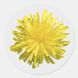 Gele Dandelion Stickers